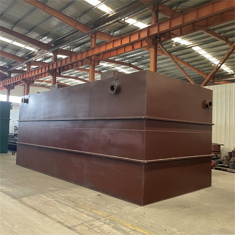 山东堂正食品污水处理设备